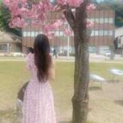 ヒメ日記 2025/05/12 07:28 投稿 渡辺美保 五十路マダム金沢店