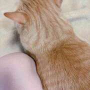 ヒメ日記 2025/09/13 07:12 投稿 渡辺美保 五十路マダム金沢店