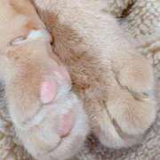 ヒメ日記 2025/09/18 08:00 投稿 渡辺美保 五十路マダム金沢店