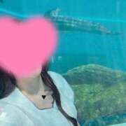 ヒメ日記 2025/10/07 12:04 投稿 渡辺美保 五十路マダム金沢店