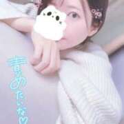 ヒメ日記 2025/04/16 12:38 投稿 まめ キミの乳首が好き！！大阪店