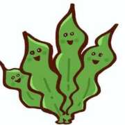 ヒメ日記 2025/11/15 12:33 投稿 けい 沼津人妻花壇