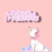 ヒメ日記 2025/08/05 23:30 投稿 ゆめみ ヒルズスパ　梅田＋