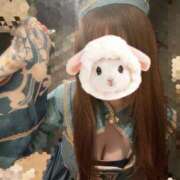 ヒメ日記 2026/01/26 23:50 投稿 ななね ドリーム水戸