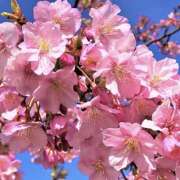 ヒメ日記 2026/03/13 19:24 投稿 さやか 成田人妻講座