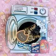 ヒメ日記 2025/02/22 12:55 投稿 あやの☆天然ドMな新妻 松戸人妻城