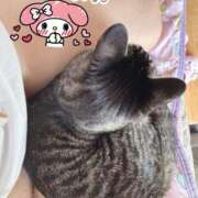 ヒメ日記 2025/05/01 14:23 投稿 あやの☆天然ドMな新妻 松戸人妻城