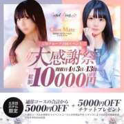 ヒメ日記 2025/04/03 16:33 投稿 ゆの S級美女専門　ロイヤルリング