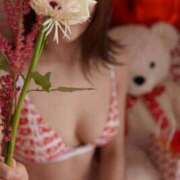 ヒメ日記 2025/07/17 08:50 投稿 このみ ごほうびSPA五反田店