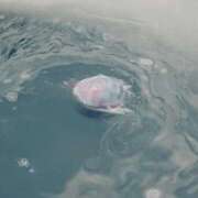 ヒメ日記 2025/07/07 09:59 投稿 友梨花-Yurika- Aroma Bloom（アロマブルーム）