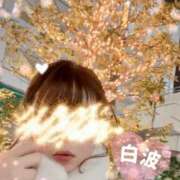 ヒメ日記 2024/12/18 22:18 投稿 白波(しらなみ) 人妻出逢い会 百合の園 山の手本店