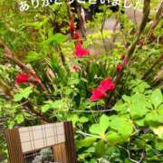 ヒメ日記 2025/05/10 23:17 投稿 白波(しらなみ) 人妻出逢い会 百合の園 山の手本店