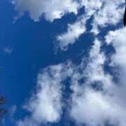 ヒメ日記 2024/12/08 11:22 投稿 かなた ファーストレディ(博多)