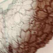 ヒメ日記 2024/12/08 16:32 投稿 かなた ファーストレディ(博多)