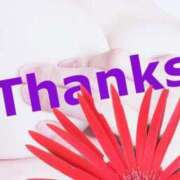 ヒメ日記 2024/12/12 19:46 投稿 かなた ファーストレディ(博多)