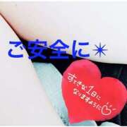 ヒメ日記 2024/12/15 11:25 投稿 かなた ファーストレディ(博多)