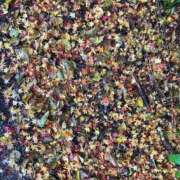 ヒメ日記 2024/12/22 11:22 投稿 かなた ファーストレディ(博多)