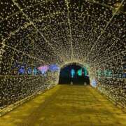 ヒメ日記 2024/12/22 22:36 投稿 かなた ファーストレディ(博多)