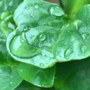 ヒメ日記 2024/12/26 20:52 投稿 かなた ファーストレディ(博多)