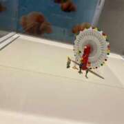 ヒメ日記 2025/01/05 20:21 投稿 かなた ファーストレディ(博多)