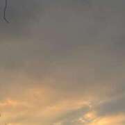 ヒメ日記 2025/01/13 08:12 投稿 かなた ファーストレディ(博多)