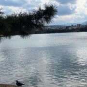 ヒメ日記 2025/02/09 00:12 投稿 かなた ファーストレディ(博多)