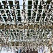 ヒメ日記 2025/02/18 18:02 投稿 かなた ファーストレディ(博多)