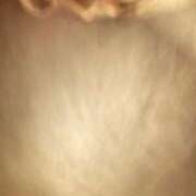 ヒメ日記 2025/03/02 07:02 投稿 かなた ファーストレディ(博多)