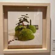 ヒメ日記 2025/03/11 22:32 投稿 かなた ファーストレディ(博多)