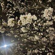 ヒメ日記 2025/03/30 11:22 投稿 かなた ファーストレディ(博多)