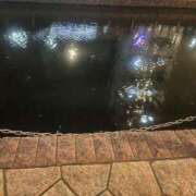 ヒメ日記 2025/03/31 20:52 投稿 かなた ファーストレディ(博多)