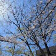 ヒメ日記 2025/04/09 16:12 投稿 かなた ファーストレディ(博多)