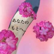 ヒメ日記 2025/04/11 14:42 投稿 かなた ファーストレディ(博多)