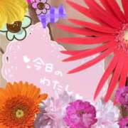 ヒメ日記 2025/04/11 17:22 投稿 かなた ファーストレディ(博多)