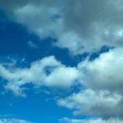 ヒメ日記 2025/06/01 07:42 投稿 かなた ファーストレディ(博多)