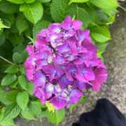 ヒメ日記 2025/06/15 17:22 投稿 かなた ファーストレディ(博多)