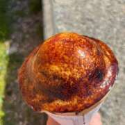 ヒメ日記 2025/06/19 21:32 投稿 かなた ファーストレディ(博多)