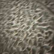 ヒメ日記 2025/10/11 05:12 投稿 かなた ファーストレディ(博多)