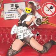 ヒメ日記 2025/12/02 19:50 投稿 なつみ 綺麗なお姉様専門　町田リング4C（アンジェリークグループ）