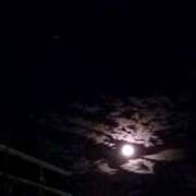 ヒメ日記 2025/08/10 11:08 投稿 千秋 高津角えび