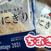 ヒメ日記 2025/08/11 21:28 投稿 千秋 高津角えび