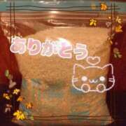 ヒメ日記 2025/10/12 21:38 投稿 千秋 高津角えび