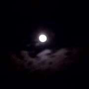 ヒメ日記 2025/11/07 12:28 投稿 千秋 高津角えび