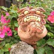 ヒメ日記 2025/12/31 23:28 投稿 千秋 高津角えび