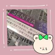 ヒメ日記 2026/04/11 12:18 投稿 千秋 高津角えび