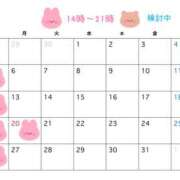 千秋 折り返し🎀 高津角えび