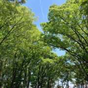 あやめ お久しぶりです。 即アポマダム～名古屋店～