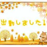 ヒメ日記 2025/11/28 20:14 投稿 りの 一宮稲沢小牧ちゃんこ