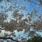 あやめ お久しぶりです📖 即アポ奥さん〜名古屋店〜