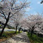 るみ♡細身美巨乳美女♡ 🌸 即生専門店ゴッドパイ